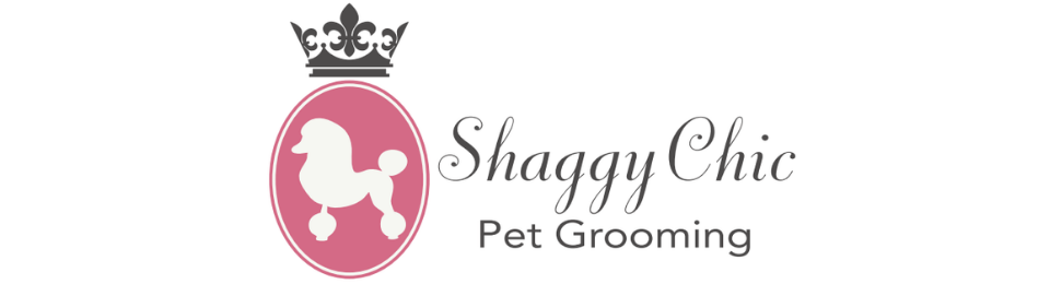 Shaggy Chic Pet Grooming and Daycare