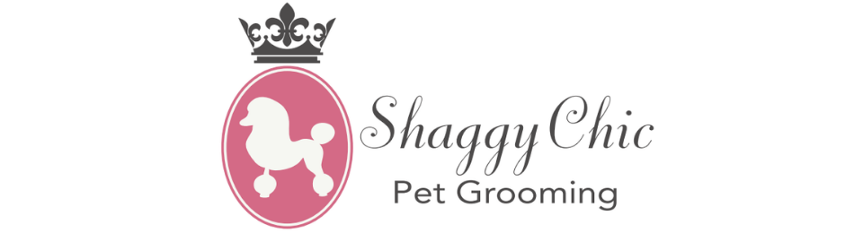 shaggy chic dog grooming